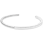 Изящна Дъга